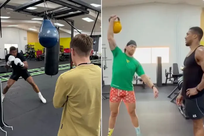 Oleksandr Usyk'ten Joshua'ya Tam Destek: O Bir Şampiyon